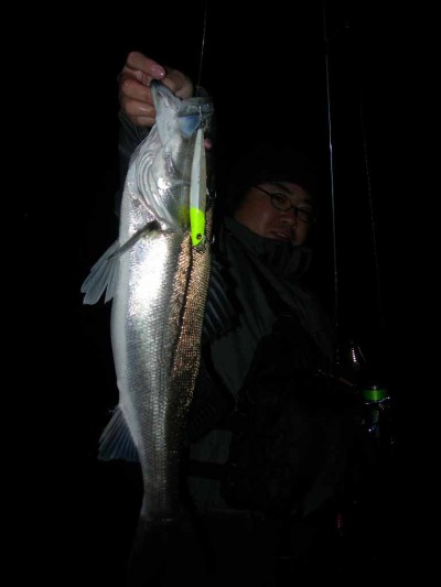 プロショップオオツカ ソルトウォーター部門 ブログ写真 2009/11/21