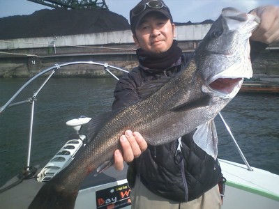 プロショップオオツカ ソルトウォーター部門 ネット通信販売 ブログ写真 2010/01/31