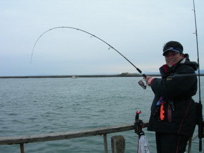 プロショップオオツカ ソルトウォーター部門 ネット通信販売 ブログ写真 2010/03/10