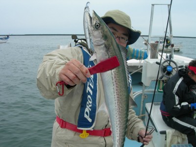 プロショップオオツカ ソルトウォーター部門 ネット通信販売 ブログ写真 2010/03/10