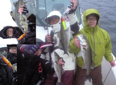 プロショップオオツカ ソルトウォーター部門 ネット通信販売 ブログ写真 2010/04/17