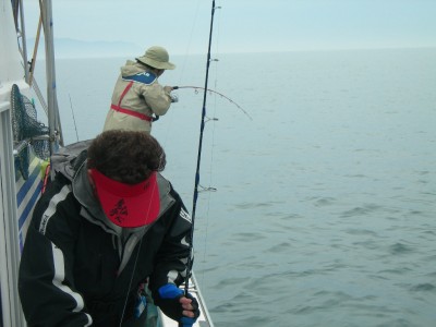 プロショップオオツカ ソルトウォーター部門 ネット通信販売 ブログ写真 2010/05/12