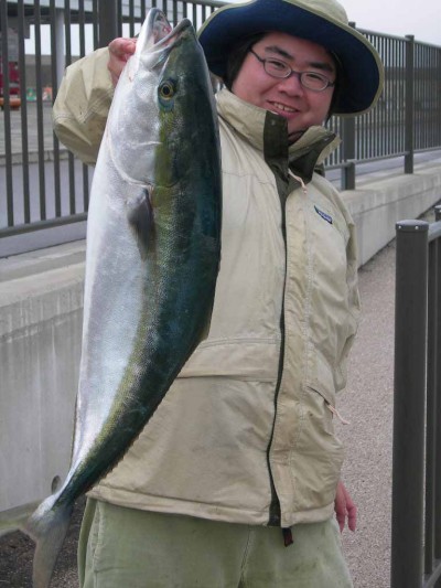 プロショップオオツカ ソルトウォーター部門 ネット通信販売 ブログ写真 2010/05/12