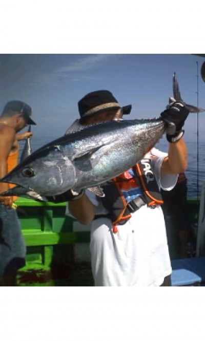 プロショップオオツカ ソルトウォーター部門 ネット通信販売 ブログ写真 2010/06/17