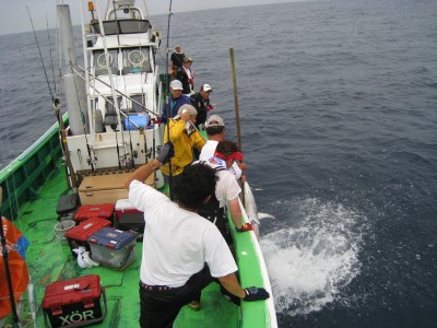 プロショップオオツカ ソルトウォーター部門 ネット通信販売 ブログ写真 2010/07/05