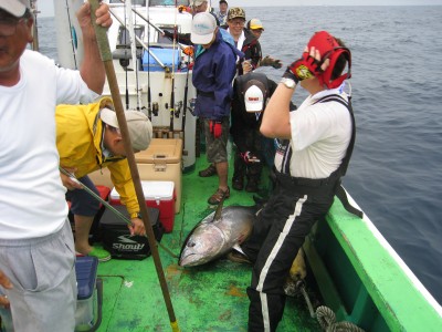 プロショップオオツカ ソルトウォーター部門 ネット通信販売 ブログ写真 2010/07/05