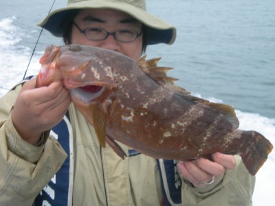 プロショップオオツカ ソルトウォーター部門 ネット通信販売 ブログ写真 2010/07/14