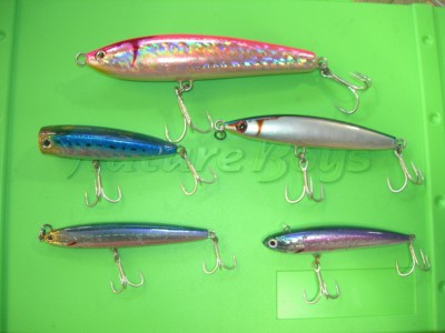 プロショップオオツカ ソルトウォーター部門 ネット通信販売 ブログ写真 2010/08/05