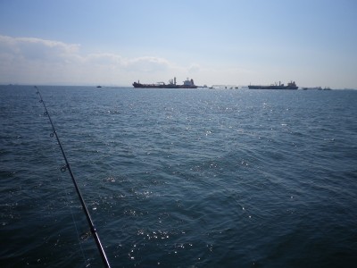 プロショップオオツカ ソルトウォーター部門 ネット通信販売 ブログ写真 2010/10/02