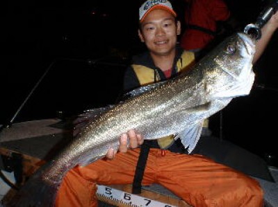 プロショップオオツカ ソルトウォーター部門 ネット通信販売 ブログ写真 2010/10/16