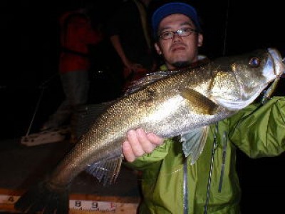 プロショップオオツカ ソルトウォーター部門 ネット通信販売 ブログ写真 2010/10/16