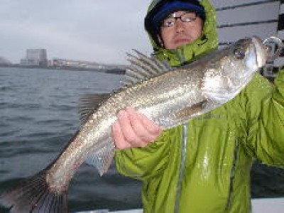 プロショップオオツカ ソルトウォーター部門 ネット通信販売 ブログ写真 2010/10/30