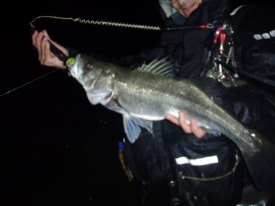 プロショップオオツカ ソルトウォーター部門 ネット通信販売 ブログ写真 2010/11/26