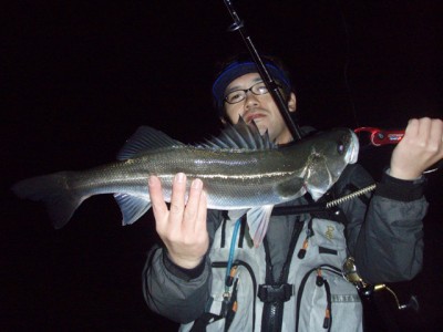 プロショップオオツカ ソルトウォーター部門 ネット通信販売 ブログ写真 2010/11/26