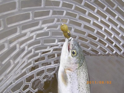 プロショップオオツカ ソルトウォーター部門 ネット通信販売 ブログ写真 2011/08/03