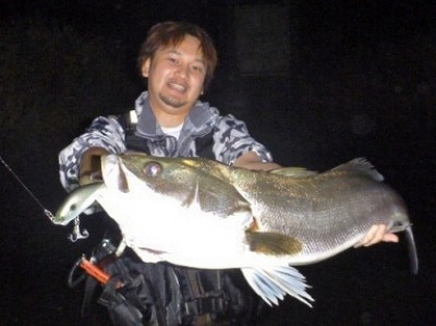 プロショップオオツカ ソルトウォーター部門 ネット通信販売 ブログ写真 2011/08/07