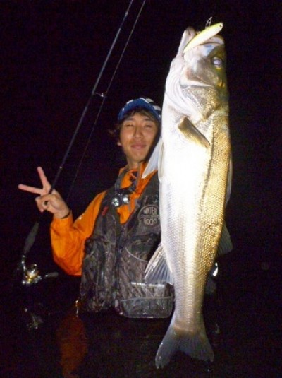 プロショップオオツカ ソルトウォーター部門 ネット通信販売 ブログ写真 2011/08/07