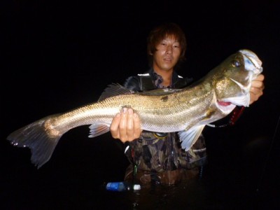 プロショップオオツカ ソルトウォーター部門 ネット通信販売 ブログ写真 2011/08/07