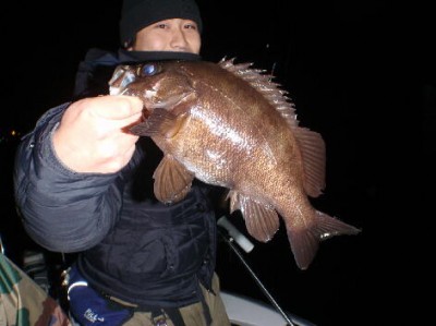 プロショップオオツカ ソルトウォーター部門 ネット通信販売 ブログ写真 2012/01/11