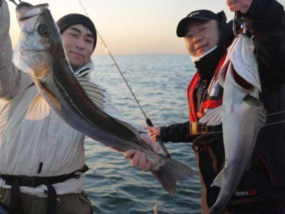 プロショップオオツカ ソルトウォーター部門 ネット通信販売 ブログ写真 2012/02/22