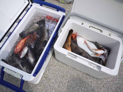 プロショップオオツカ ソルトウォーター部門 ネット通信販売 ブログ写真 2012/05/30