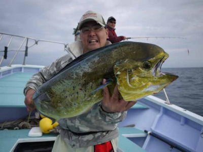 プロショップオオツカ ソルトウォーター部門 ネット通信販売 ブログ写真 2012/06/27