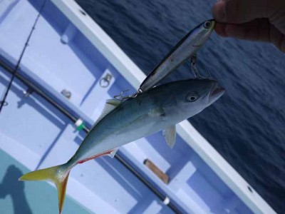 プロショップオオツカ ソルトウォーター部門 ネット通信販売 ブログ写真 2012/06/27