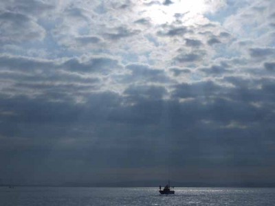 プロショップオオツカ ソルトウォーター部門 ネット通信販売 ブログ写真 2012/07/06