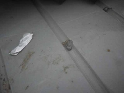 プロショップオオツカ ソルトウォーター部門 ネット通信販売 ブログ写真 2012/07/06