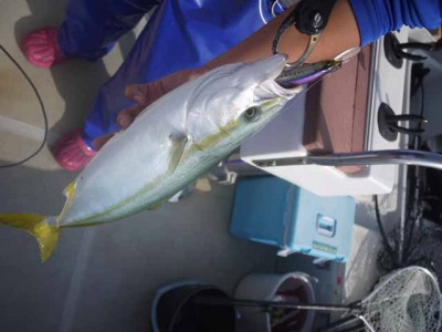 プロショップオオツカ ソルトウォーター部門 ネット通信販売 ブログ写真 2012/07/06