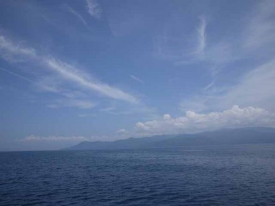 プロショップオオツカ ソルトウォーター部門 ネット通信販売 ブログ写真 2012/07/11