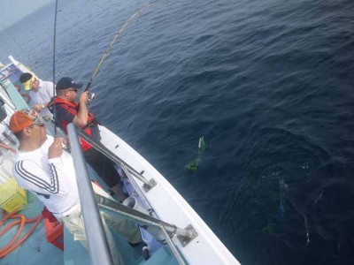 プロショップオオツカ ソルトウォーター部門 ネット通信販売 ブログ写真 2012/07/11