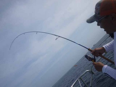 プロショップオオツカ ソルトウォーター部門 ネット通信販売 ブログ写真 2012/07/11