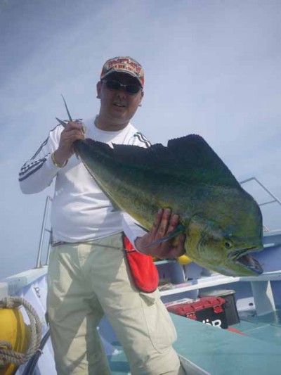 プロショップオオツカ ソルトウォーター部門 ネット通信販売 ブログ写真 2012/07/11