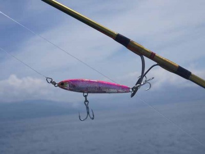 プロショップオオツカ ソルトウォーター部門 ネット通信販売 ブログ写真 2012/07/11