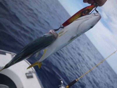 プロショップオオツカ ソルトウォーター部門 ネット通信販売 ブログ写真 2012/09/20