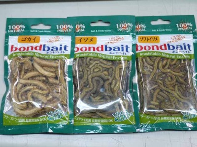 プロショップオオツカ ソルトウォーター部門 ネット通信販売 ブログ写真 2012/09/21