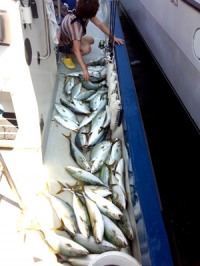 プロショップオオツカ ソルトウォーター部門 ネット通信販売 ブログ写真 2012/09/21