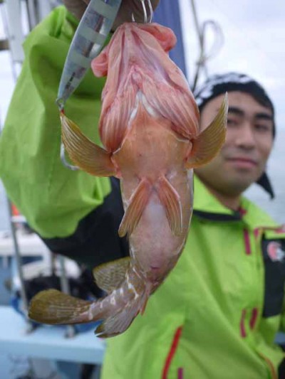 プロショップオオツカ ソルトウォーター部門 ネット通信販売 ブログ写真 2012/10/05