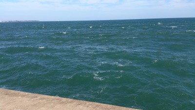 プロショップオオツカ ソルトウォーター部門 ネット通信販売 ブログ写真 2012/10/28