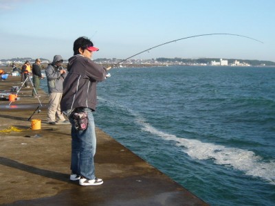 プロショップオオツカ ソルトウォーター部門 ネット通信販売 ブログ写真 2012/10/28