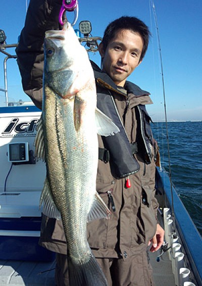 プロショップオオツカ ソルトウォーター部門 ネット通信販売 ブログ写真 2012/11/10