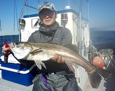 プロショップオオツカ ソルトウォーター部門 ネット通信販売 ブログ写真 2012/11/10