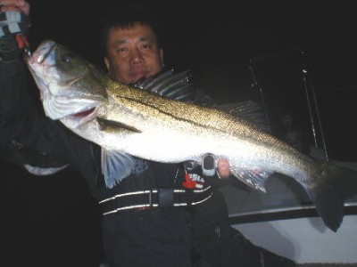 プロショップオオツカ ソルトウォーター部門 ネット通信販売 ブログ写真 2012/11/10