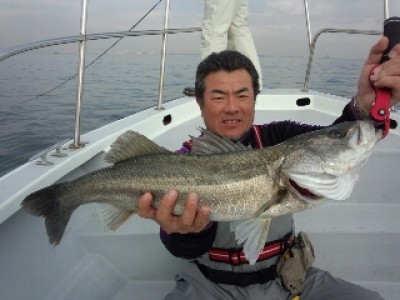 プロショップオオツカ ソルトウォーター部門 ネット通信販売 ブログ写真 2012/11/14