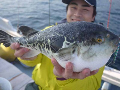 プロショップオオツカ ソルトウォーター部門 ネット通信販売 ブログ写真 2013/01/09