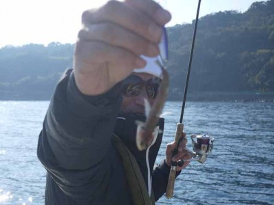 プロショップオオツカ ソルトウォーター部門 ネット通信販売 ブログ写真 2013/01/09