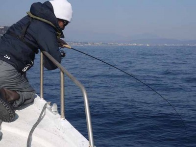 プロショップオオツカ ソルトウォーター部門 ネット通信販売 ブログ写真 2013/01/09