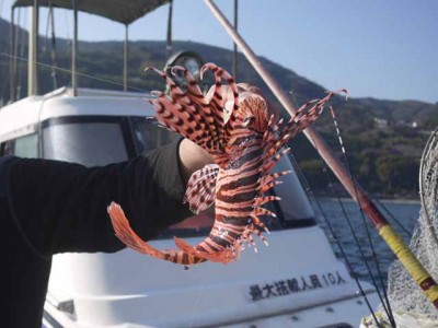 プロショップオオツカ ソルトウォーター部門 ネット通信販売 ブログ写真 2013/01/09