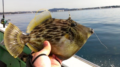 プロショップオオツカ ソルトウォーター部門 ネット通信販売 ブログ写真 2013/01/21